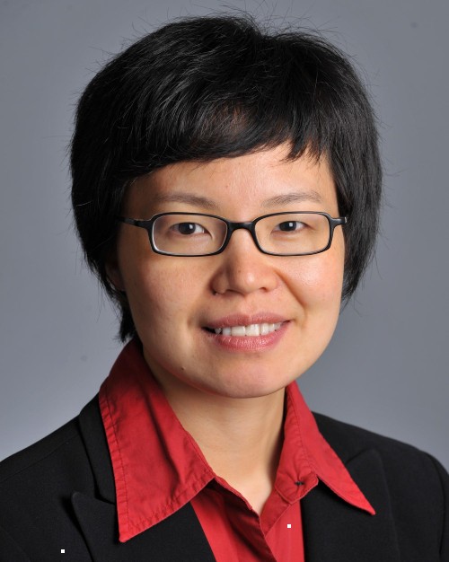 Dr. Chunhua Weng